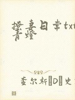 撩妻日常txt青灯