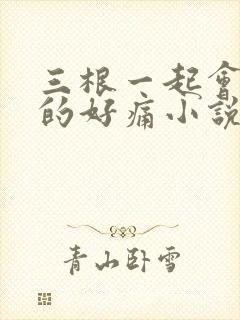 三根一起会坏掉的好痛小说