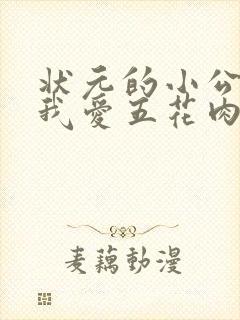 状元的小公主(我爱五花肉)封面