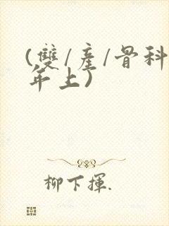 (双/产/骨科年上)