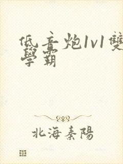 低音炮1v1双学霸