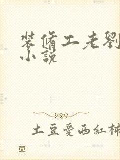 装修工老刘林雪小说