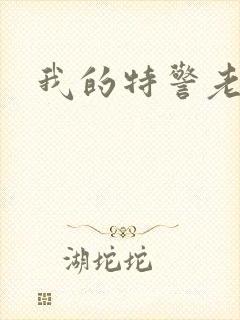 我的特警老婆封面