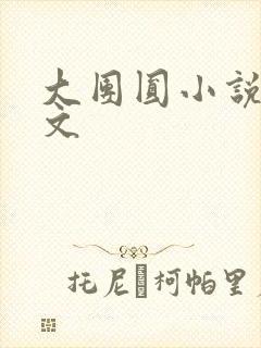 大团圆小说集全文