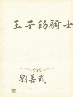 王子的骑士小说