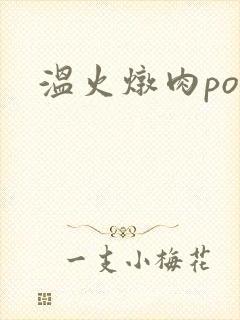 温火炖肉pop封面