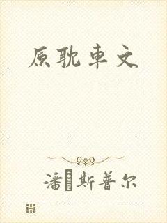原耽车文