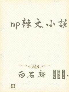 np辣文小说封面