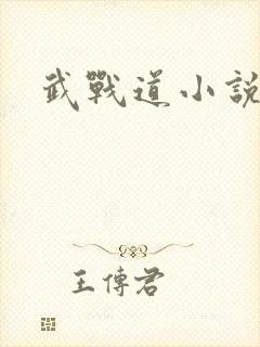 武战道小说
