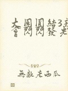 大团圆结3亲情会闪闪发光封面