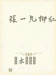 张一凡柳红