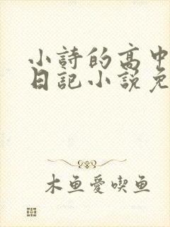小诗的高中成长日记小说免费阅读