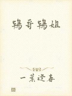 鸨哥鸨姐