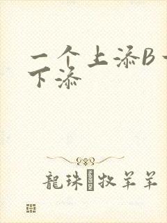 一个上添B一个下添