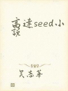 高达seed小说