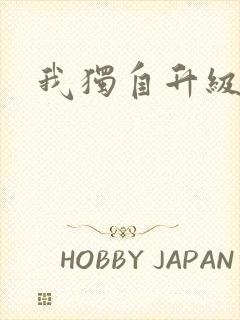 我独自升级封面