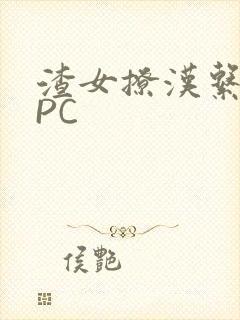 渣女撩汉系统NPC