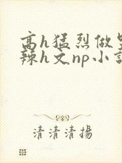 高h猛烈做哭高辣h文np小说