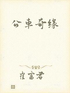公车奇缘封面