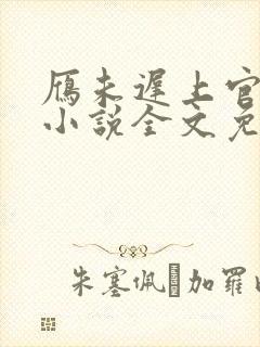 雁未迟上官穿越小说全文免费阅读封面