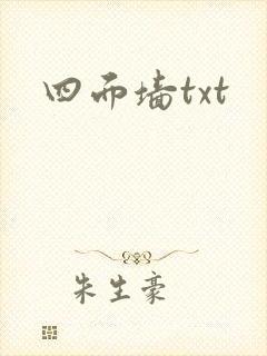 四面墙txt封面