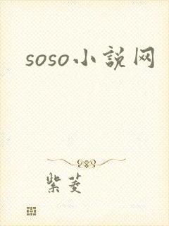 soso小说网