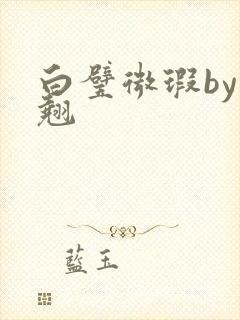 白璧微瑕by连翘