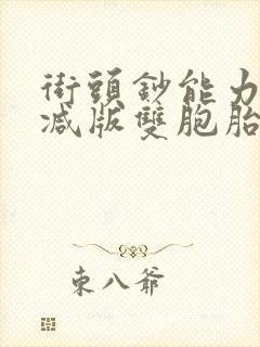 街头钞能力无删减版双胞胎