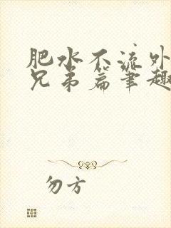 肥水不流外人田兄弟篇笔趣阁小说封面