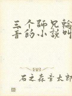 三个师兄轮流上音的小说叫什么封面