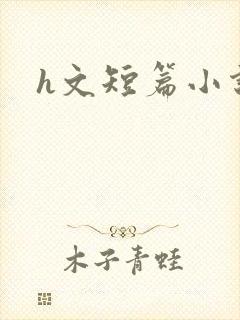 h文短篇小说封面