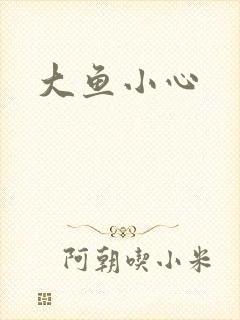 大鱼小心封面