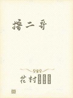 撸二哥封面