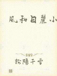 风和日丽小说