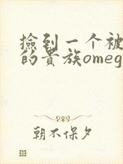 捡到一个被抹布的贵族omega