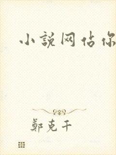 小说网站你懂的