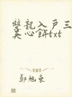 双龙入户三人行夹心饼txt