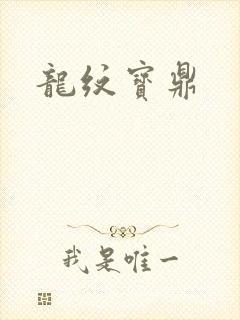 龙纹宝鼎封面