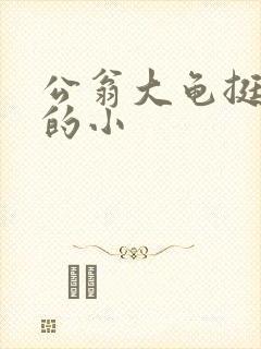 公翁大龟挺进我的小