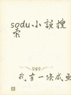 sodu小说搜索