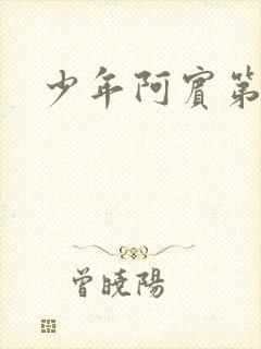 少年阿宾第二部封面