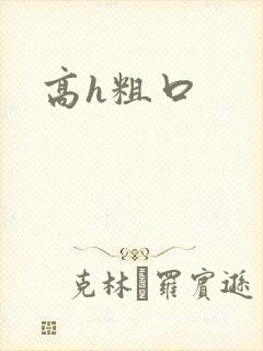 高h粗口