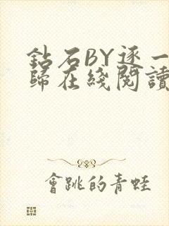 钻石BY逐一而归在线阅读封面