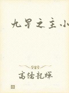 九星之主小说封面