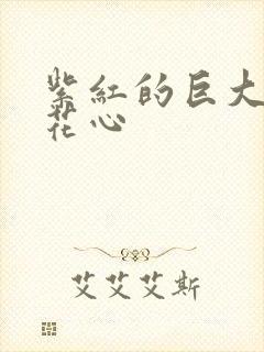 紫红的巨大顶开花心