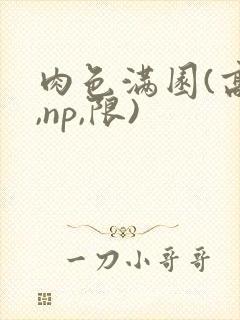 肉色满园(高h,np,限)