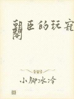 朝臣的玩宠笔趣阁封面