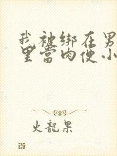 我被绑在男公厕里当肉便小说