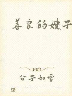 善良的嫂子小说封面