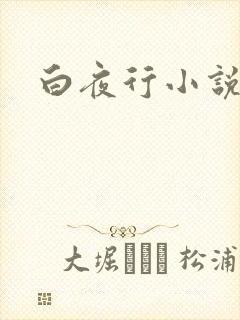 白夜行小说下载
